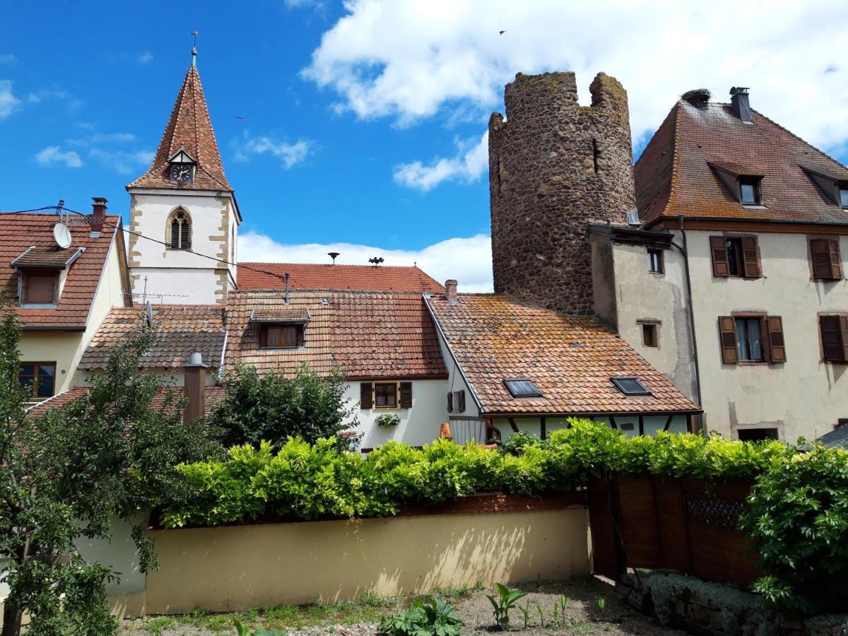 "La Vigne Dort" Cocon Romantique Herrlisheim-près-Colmar Exterior foto